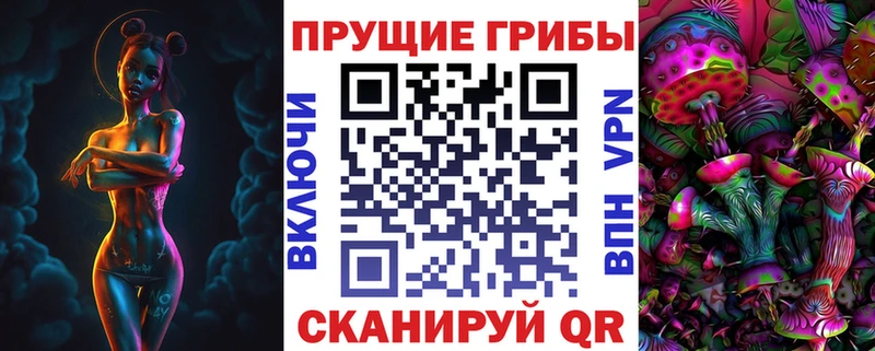 наркота Лермонтов Галлюциногенные грибы Cubensis